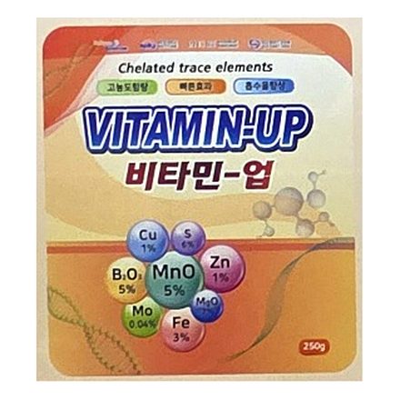 비타민업